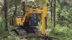 Pelle forestière ZG135HF